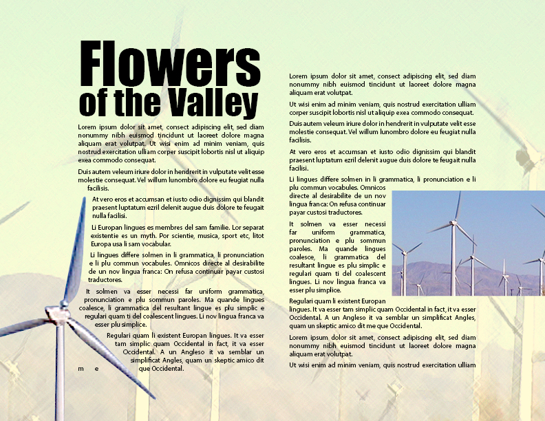 Project Builder 11-1: Multiple Bleeds